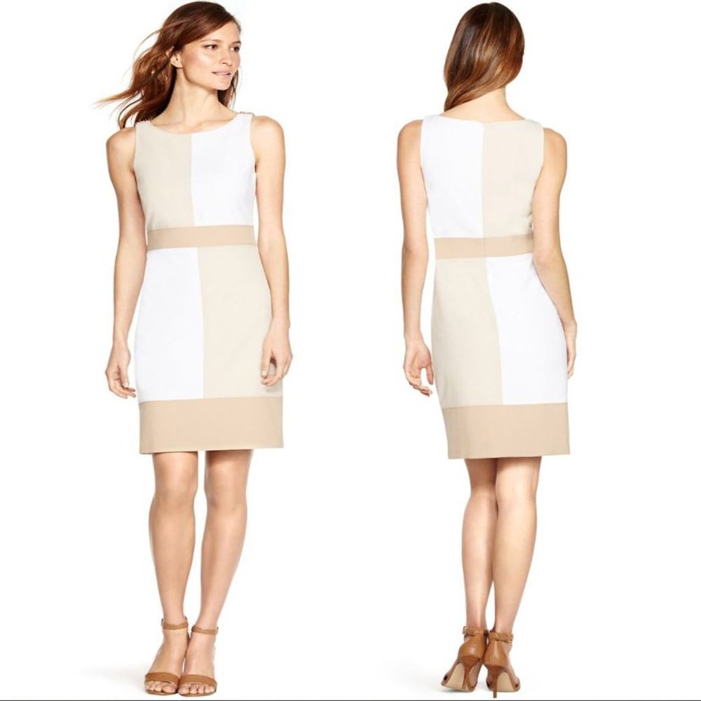 NWT WHBM Sleeveless Colorblock Shift Dress size 8